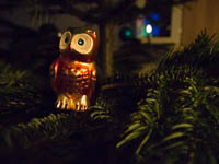bild8
