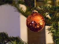 bild9