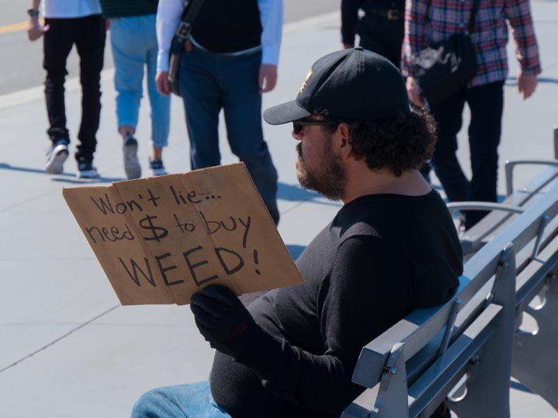 needweed