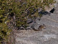 bild16